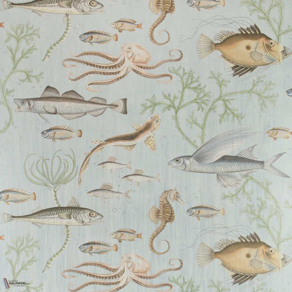 Dory Gigantica wallpaper in Seaglass by Voysey House