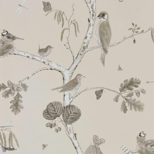 Woodland Chorus wallpaper in Sepia/Neutral van Sanderson