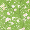 Nostell Priory papel pintado en Evergreen de Zoffany