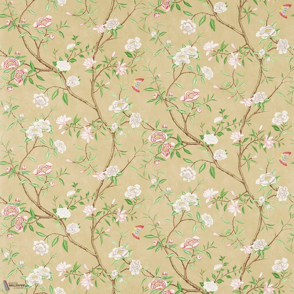 Nostell Priory papel pintado en Old Gold/Green de Zoffany