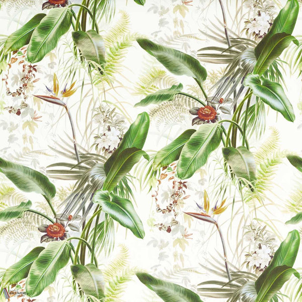 Paradise Row Tapete in Evergreen von Zoffany
