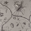 Phaedra Tapete in Silver von Zoffany
