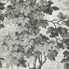 Richmond Park Tapete in Charcoal von Zoffany