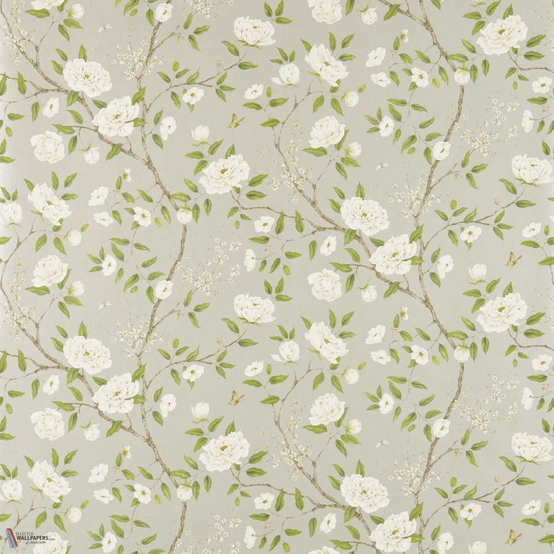 Romey`s Garden wallpaper in Silver by Zoffany