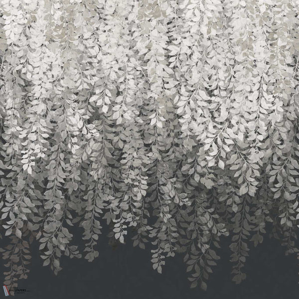Tyndall Tapete in Vine Black von Zoffany