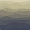 Wray wallpaper in Eye Ink by Zoffany