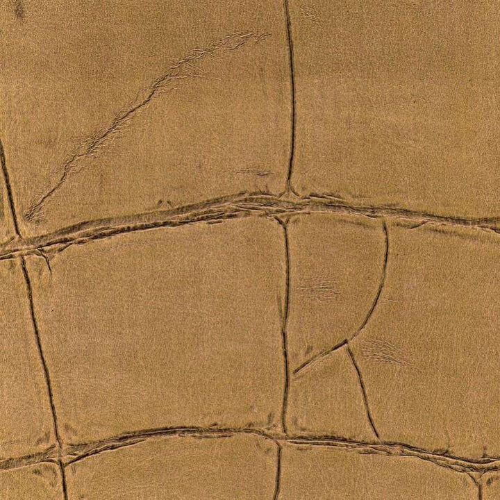 ABCG Big Croco HPC-behang-Tapete-Elitis-8-Meter (M1)-CV 105 08-Selected Wallpapers