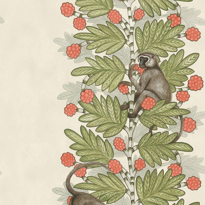 Acacia-Behang-Tapete-Cole & Son-Olive & Coral-Rol-109/11051-Selected Wallpapers