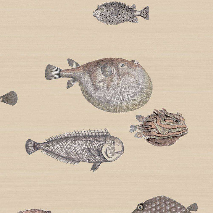 Acquario-behang-Tapete-Cole & Son-Taupe-Rol-114/16033-Selected Wallpapers