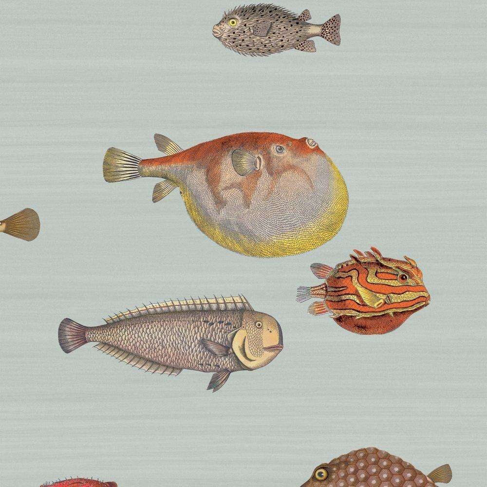 Acquario-behang-Tapete-Cole & Son-Print Room Blue-Rol-97/10030-Selected Wallpapers