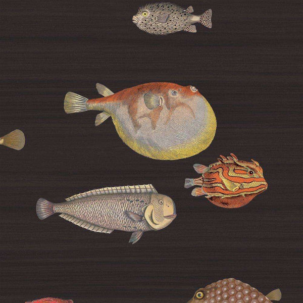 Acquario-behang-Cole & Son-Charcoal-Rol-97/10048-Selected Wallpapers