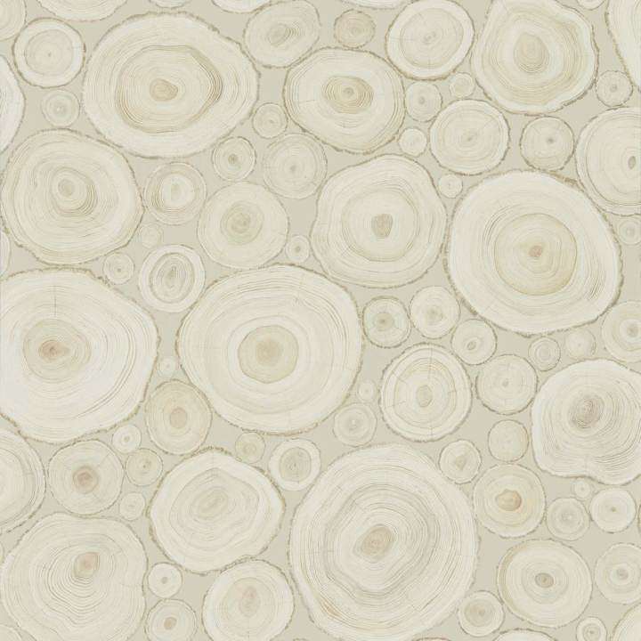 Alnwick Logs-behang-Tapete-Sanderson-Birch-Rol-216507-Selected Wallpapers