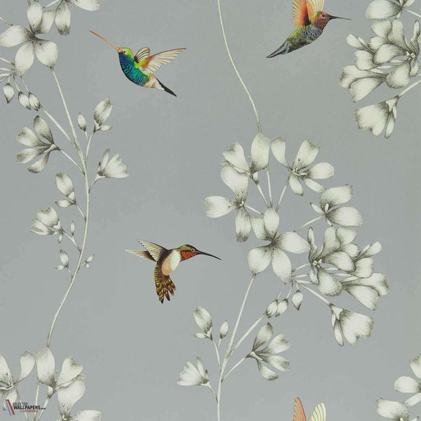 Amazilia-behang-Harlequin-French Grey/Stone-Rol-112605-Selected Wallpapers