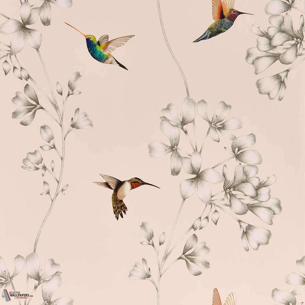 Amazilia-behang-Harlequin-Powder/Pearl-Rol-112606-Selected Wallpapers
