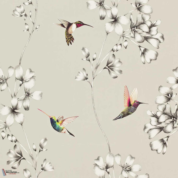 Amazilia-behang-Harlequin-Silver-Rol-111062-Selected Wallpapers