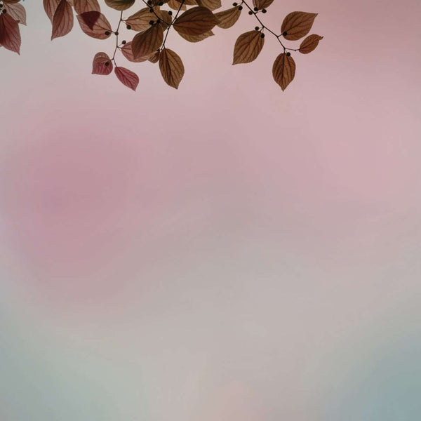 Amour-behang-Glamora-1B-GlamDecor-GLIX21B-Selected Wallpapers