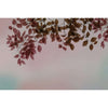 Amour-behang-Glamora-Selected Wallpapers