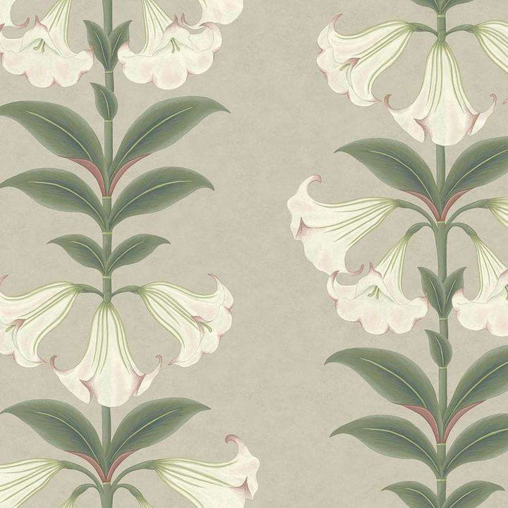 Angel's Trumpet-behang-Tapete-Cole & Son-Chalk & Sage-Rol-117/3007-Selected Wallpapers