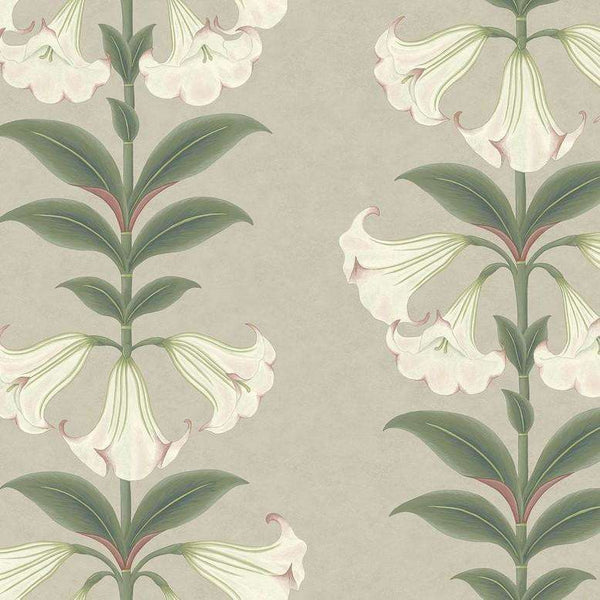 Angel's Trumpet-behang-Cole & Son-Chalk & Sage-Rol-117/3007-Selected Wallpapers