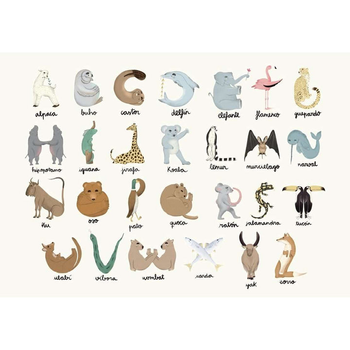 Animal Alphabet-behang-Tapete-Coordonne-Selected Wallpapers