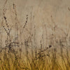 Anthuse-behang-Glamora-1A-GlamFusion-GLHY41A-Selected Wallpapers