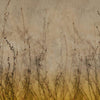 Anthuse-behang-Glamora-1B-GlamFusion-GLHY41B-Selected Wallpapers
