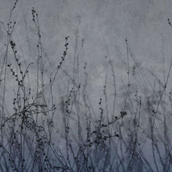 Anthuse-behang-Glamora-2A-GlamFusion-GLHY42A-Selected Wallpapers