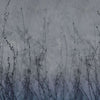 Anthuse-behang-Glamora-2B-GlamFusion-GLHY42B-Selected Wallpapers