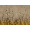 Anthuse-behang-Glamora-Selected Wallpapers