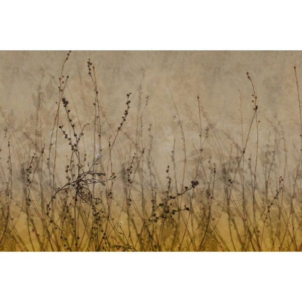 Anthuse-behang-Glamora-Selected Wallpapers