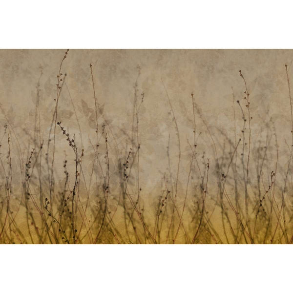 Anthuse-behang-Glamora-Selected Wallpapers