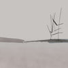 Aomori-behang-Glamora-2B-GlamDecor-GLXI572B-Selected Wallpapers