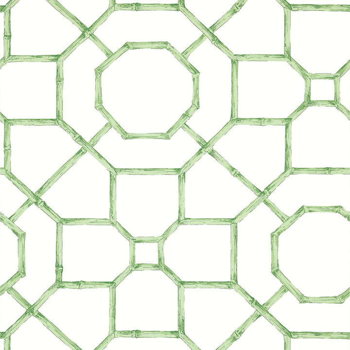Arbor-Behang-Tapete-Thibaut-Green-Rol-T13674-Selected Wallpapers