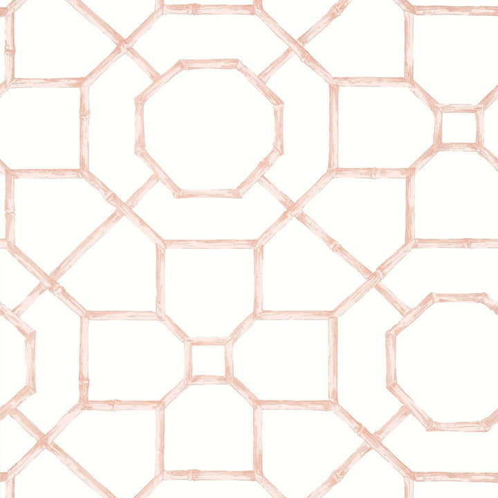 Arbor-Behang-Tapete-Thibaut-Blush-Rol-T13676-Selected Wallpapers