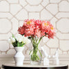 Arbor-Behang-Thibaut-Selected Wallpapers