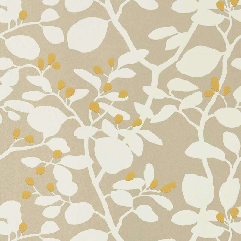 Ardisia behang in Soft Focus/Oyster/Gold van Harlequin