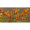 Artistic Tullypan-Behang-INSTABILELAB-Selected Wallpapers