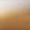 Astral Solaire-Behang-Casamance-Mordore Bronze-Paneel-71000280-Selected Wallpapers