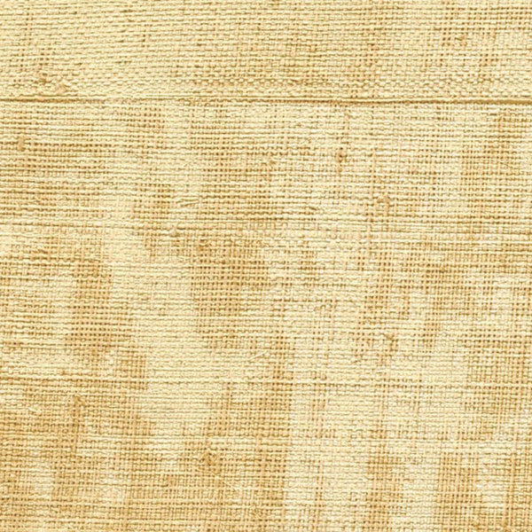 Atelier D'Artiste-Wallpaper-Elitis-Le Genie-Roll-VP 880 04-Selected Wallpapers