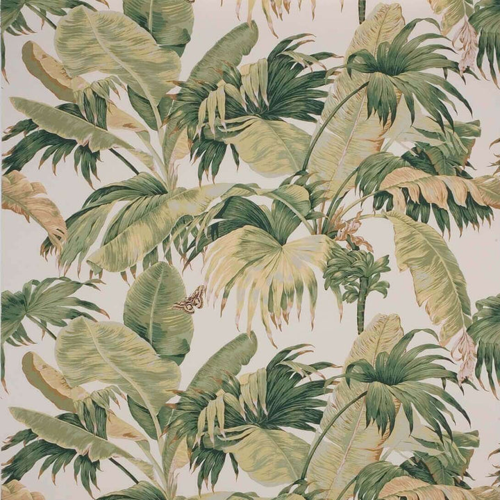 Bananier-behang-Tapete-Boussac-Ecru Green-W4630A01-Selected Wallpapers