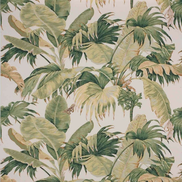 Bananier-behang-Boussac-Ecru Green-W4630A01-Selected Wallpapers