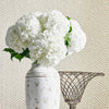 Big Sur-Behang-Thibaut-Selected Wallpapers