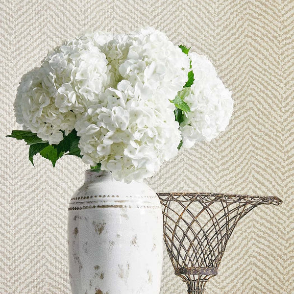 Big Sur-Behang-Thibaut-Selected Wallpapers