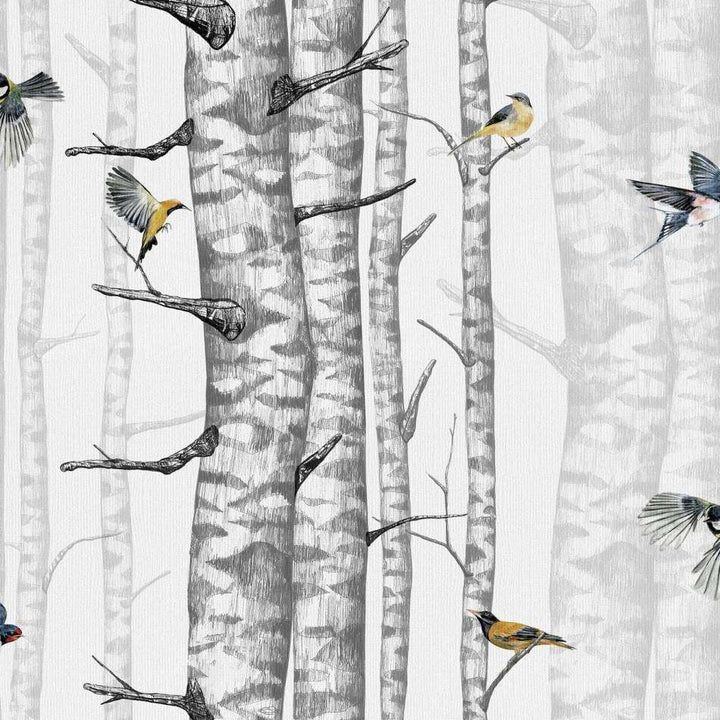 Birch Trees-Behang-Tapete-Coordonne-Grey01-Rol-9500040-Selected Wallpapers