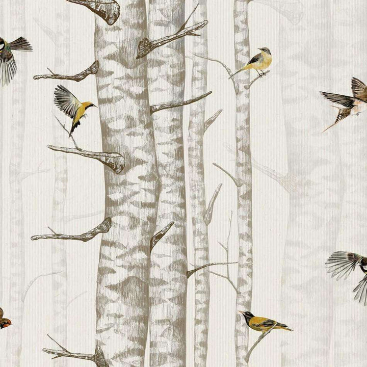 Birch Trees-Behang-Tapete-Coordonne-Beige-Rol-9500041-Selected Wallpapers