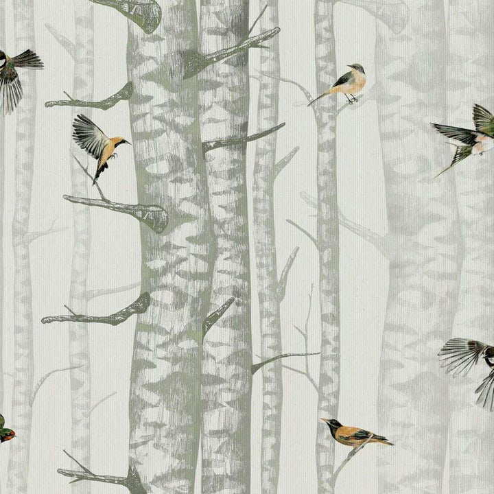 Birch Trees-Behang-Tapete-Coordonne-Silvester-Rol-9500042-Selected Wallpapers