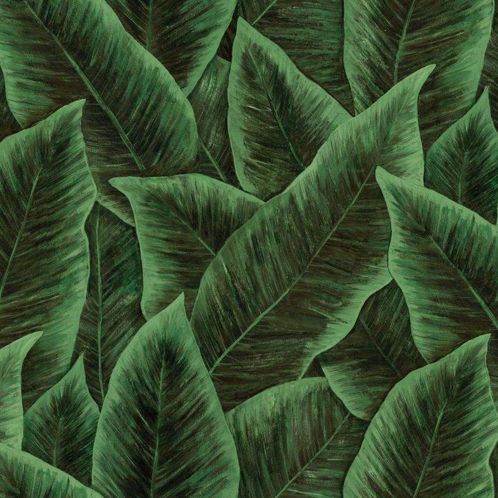 Bird of Paradise-behang-Tapete-Arte-Emerald-Meter (M1)-97572-Selected Wallpapers
