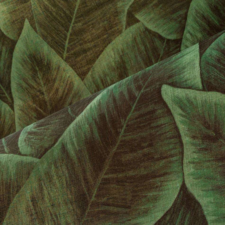 Bird of Paradise-behang-Tapete-Arte-Selected Wallpapers