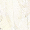 Blanche Neige-behang-Elitis-1-Meter (M1)-RM 972 01-Selected Wallpapers