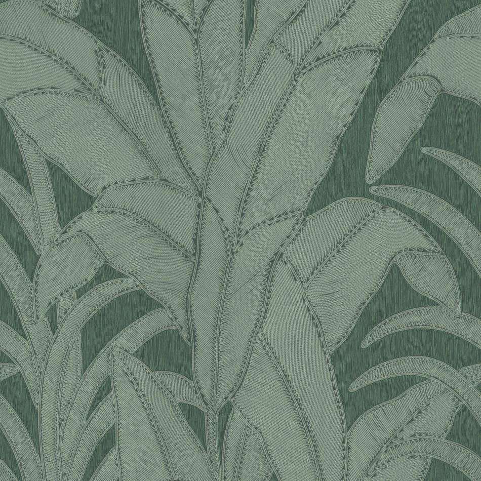 Botanic-behang-Tapete-Arte-Pine-Rol-64504-Selected Wallpapers